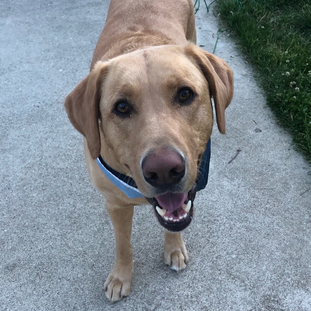 Meet your Posher, Meredith